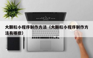 中山大颗粒小程序制作方法（大颗粒小程序制作方法有哪些）
