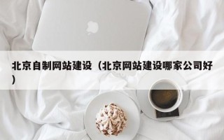 中山北京自制网站建设（北京网站建设哪家公司好）