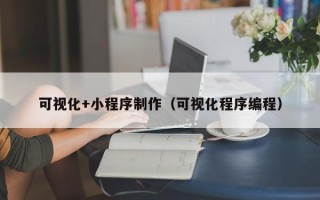 中山可视化+小程序制作（可视化程序编程）